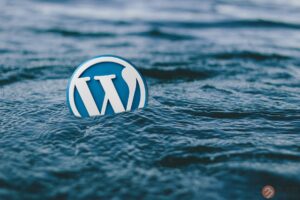 WordPress"更新失败，此响应不是合法的JSON响应”的解决